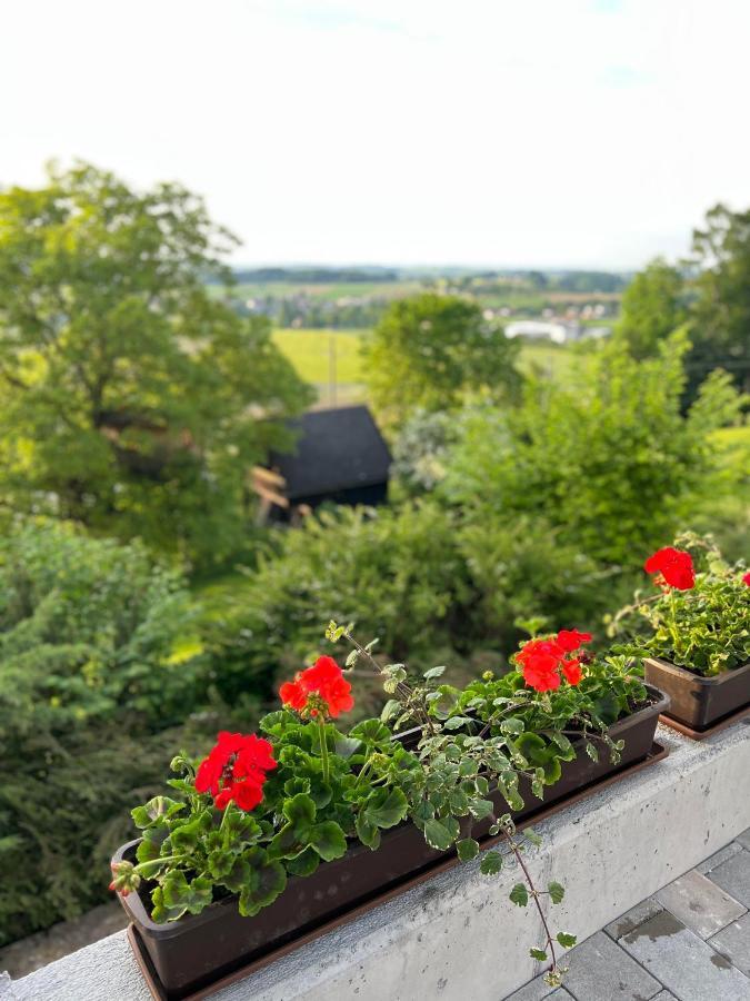 Gruenberg Apartments Гмунден Экстерьер фото
